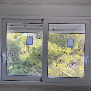 ventanas (5)